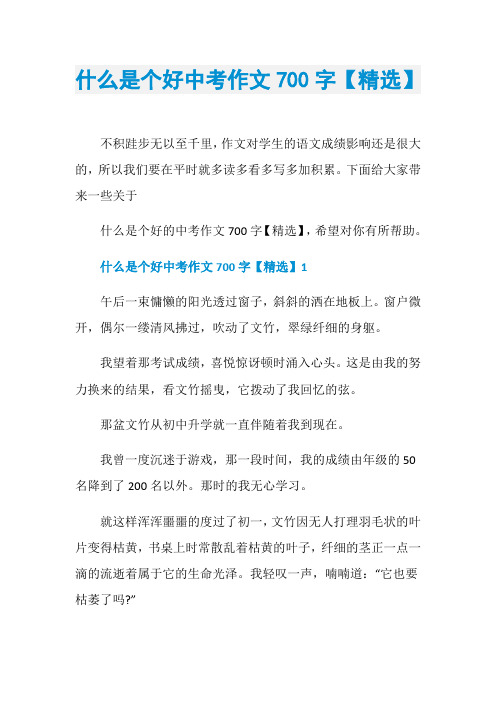 什么是个好中考作文700字【精选】