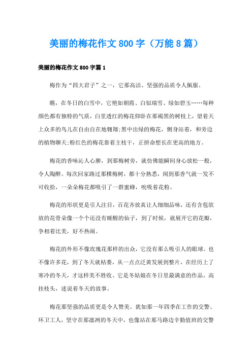 美丽的梅花作文800字(万能8篇)