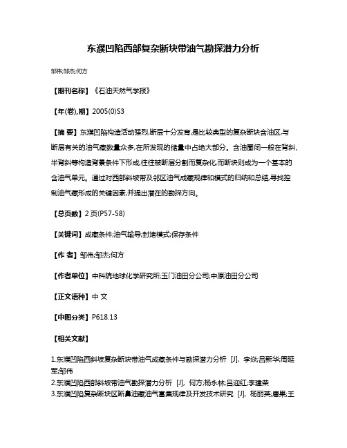 东濮凹陷西部复杂断块带油气勘探潜力分析