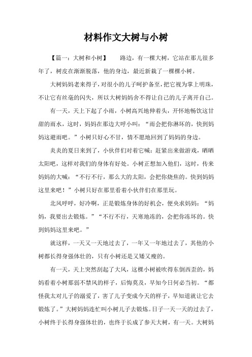材料作文大树与小树