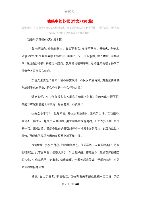 我眼中的苏轼(作文)(20篇)精选
