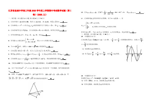 江苏省盐城中学2020届高三数学上学期期中考试苏教版【会员独享】