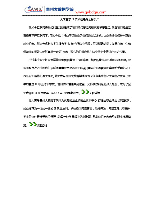大学生学IT技术还是考公务员？