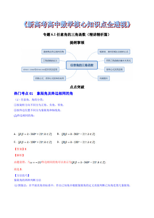 专题6.1 任意角的三角函数(精讲精析篇)(解析版)