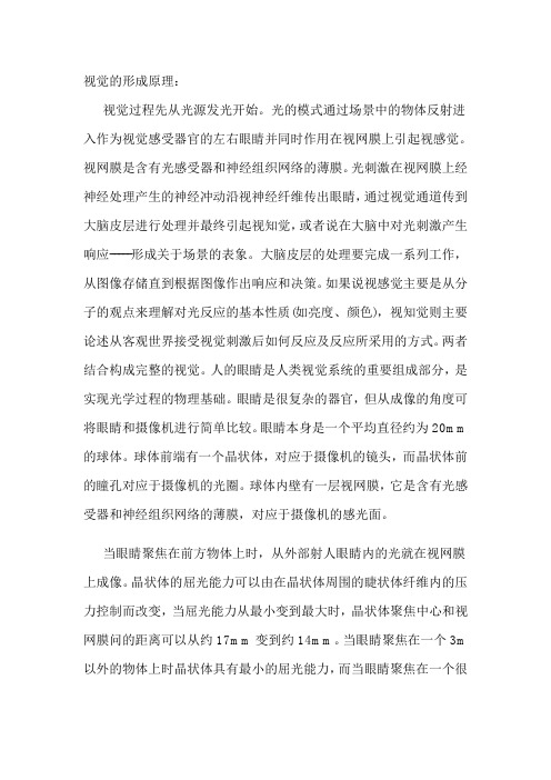 视觉的形成原理