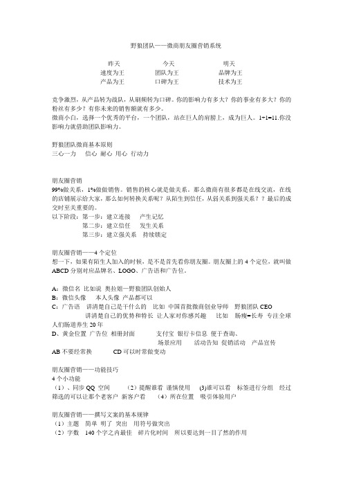 朋友圈营销——野狼团队