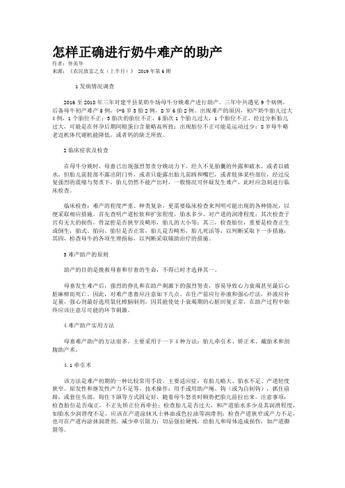 怎样正确进行奶牛难产的助产