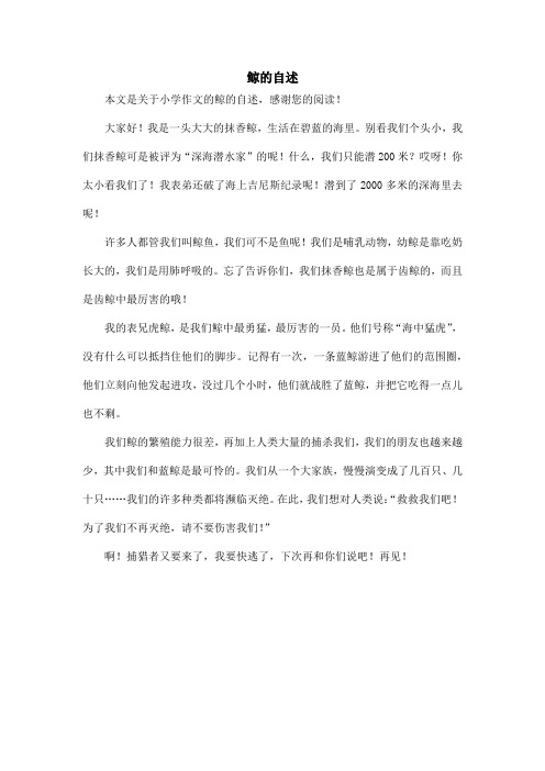鲸的自述_小学作文_31