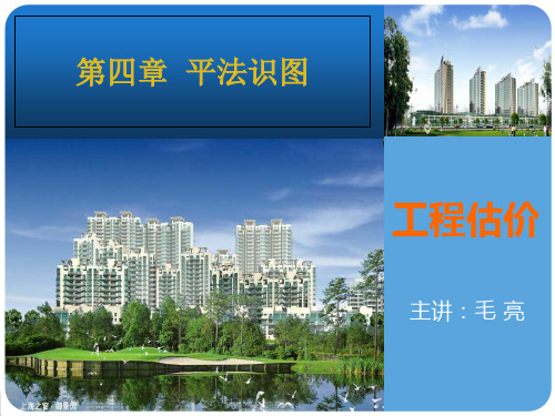平法识图ppt课件
