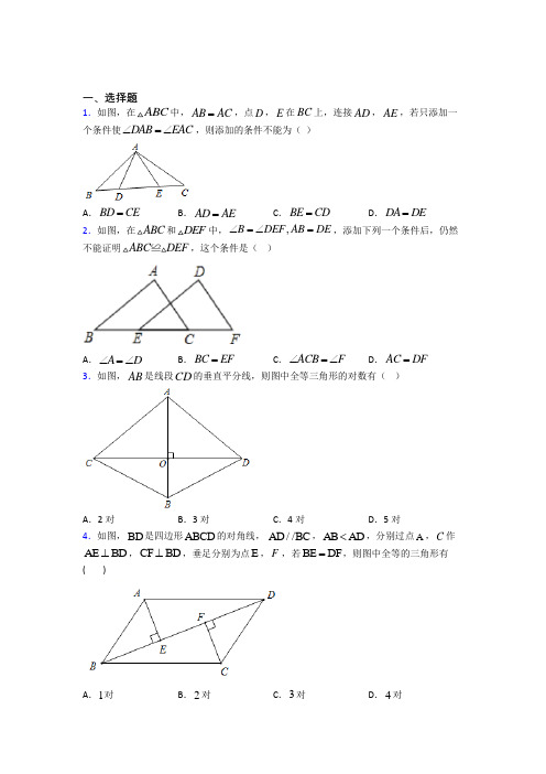 (人教版)杭州市八年级数学上册第二单元《全等三角形》测试题(含答案解析)