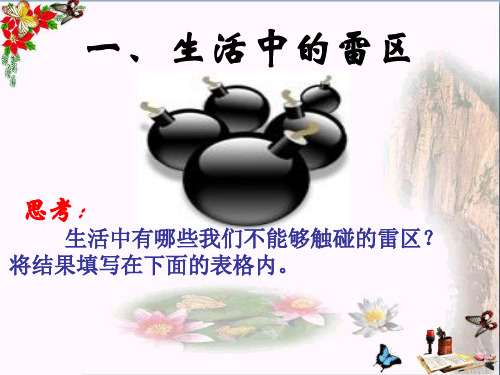“雷区”在哪里ppt优秀课件(2份) 人民版
