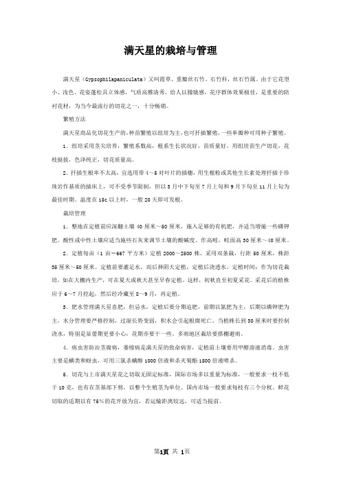 满天星的栽培与管理