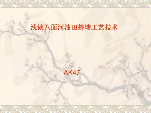 浅谈八面河油田挤堵工艺