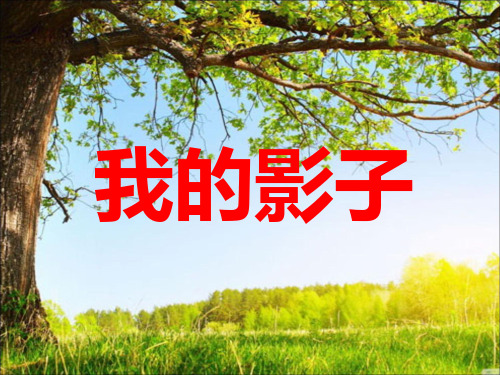 北师大小学二年级语文上册《我的影子》课件