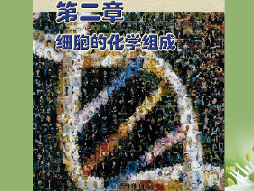 细胞中的元素和无机化合物ppt 苏教版精选教学PPT课件