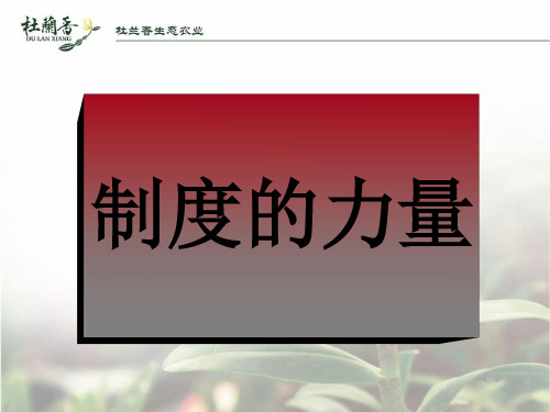制度的力量(非常经典)