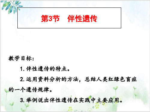 [人教版]《伴性遗传》PPT课件2