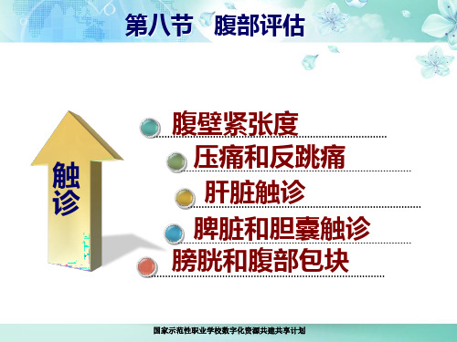 腹部触诊PPT课件