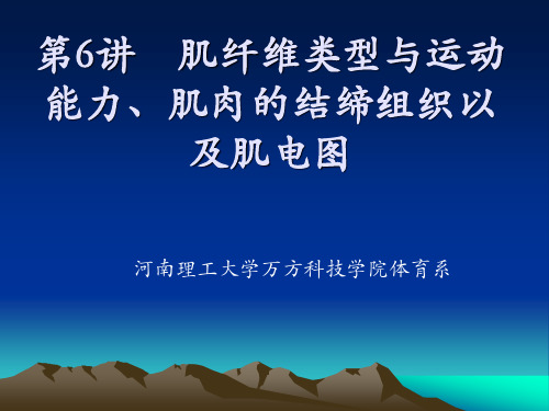 第6讲 肌纤维类型与运动能力