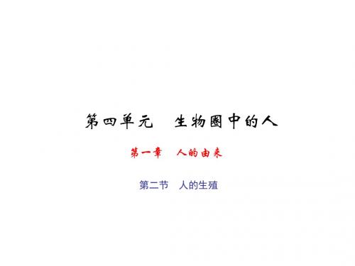 【初中生物】人的由来ppt3(3份)
