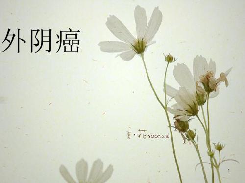 外阴癌ppt课件