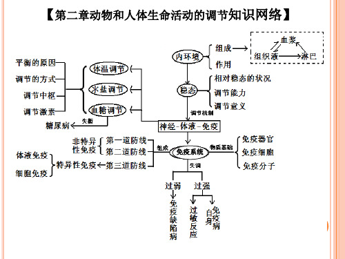 必修三第二章 动物和人体生命活动的调节 复习PPT课件