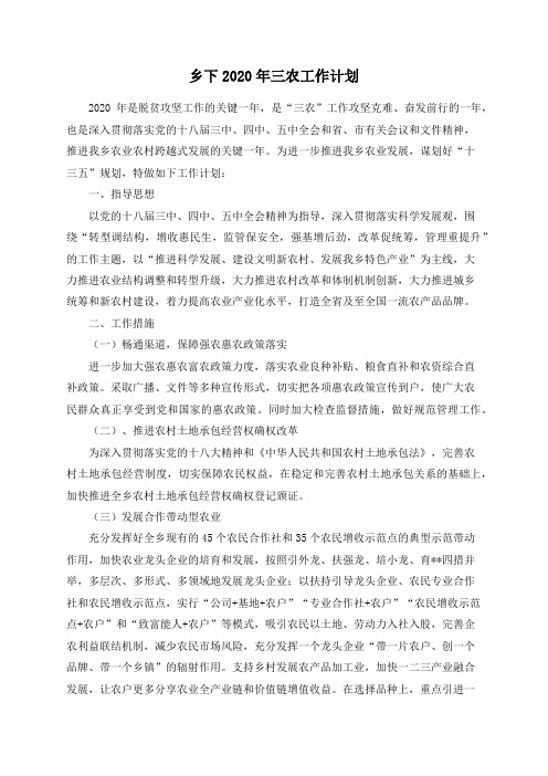 乡下2020年三农工作计划