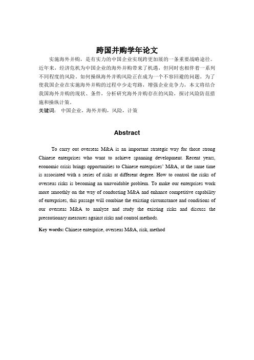 跨国并购学年论文