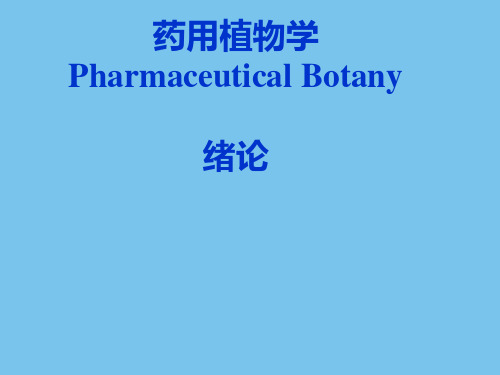 药用植物学课件.ppt