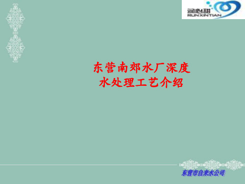山东东营南郊水厂深度水处理工艺