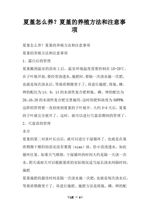 夏堇怎么养？夏堇的养殖方法和注意事项