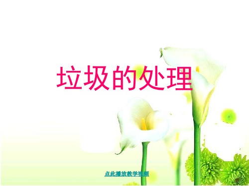 最新科教版科学六年级下册《垃圾的处理》精品课件
