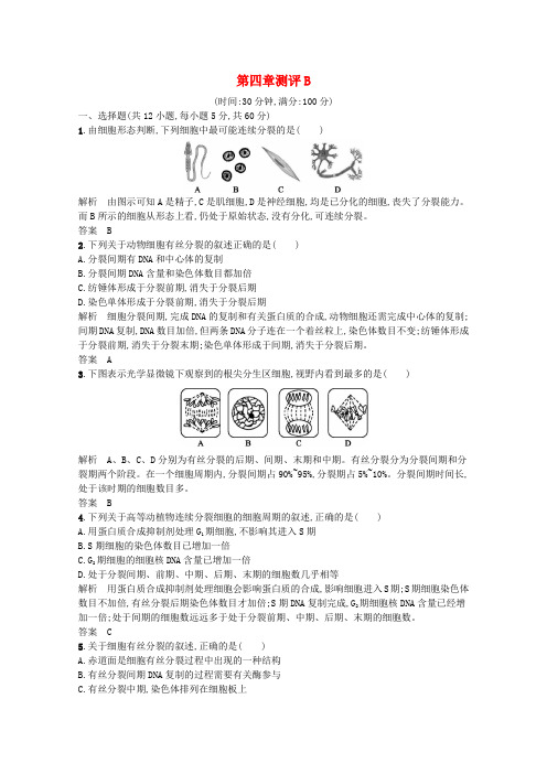2019-2020学年高中生物 第四章 细胞的增殖与分化 单元测评B(含解析)浙科版必修1