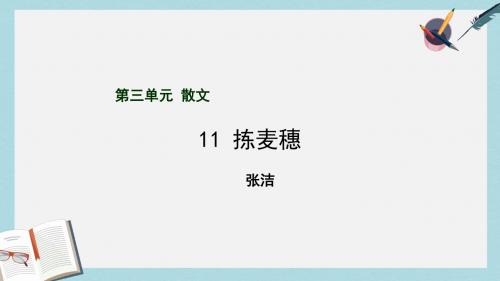 语文版中职语文(基础模块)上册第4课《拣麦穗》ppt课件1