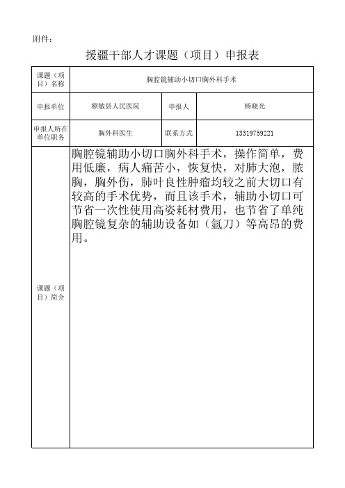 援疆小项目申报表