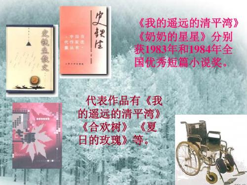 苏教版高中语文必修二 第1专题 《我与地坛(节选)》公开课课件