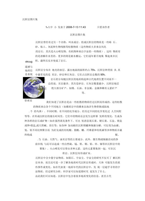 沉积岩图片集