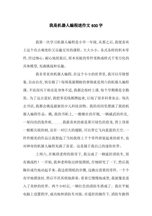 我是机器人编程迷作文600字
