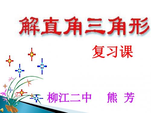 2014中考解直角三角形复习课件ppt.