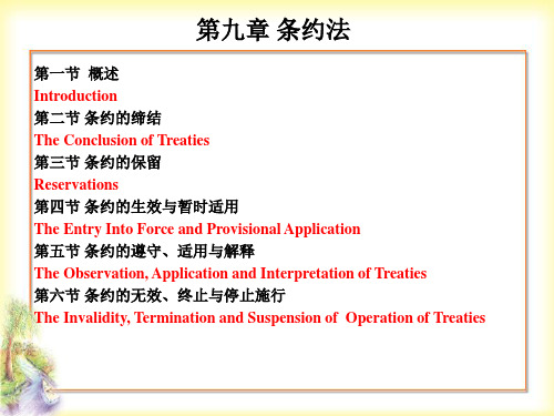 国际法第九章