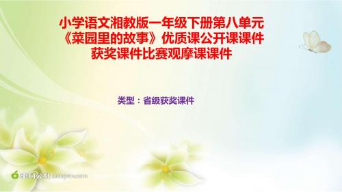 小学语文湘教版一年级下册第八单元《菜园里的故事》优质课公开课课件获奖课件比赛观摩课课件B002