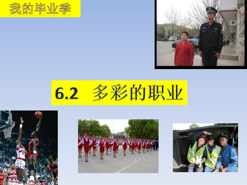 6.2多彩的职业课件(22ppt)精品课件部编人教版九年级下册道德与法治