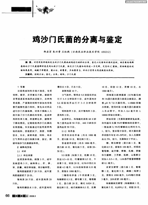 鸡沙门氏菌的分离与鉴定