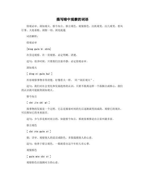描写暗中观察的词语