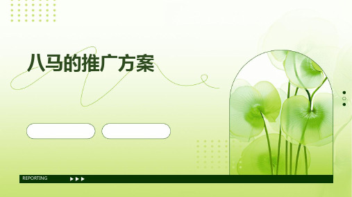 八马的推广方案