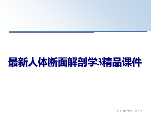 最新人体断面解剖学3精品课件