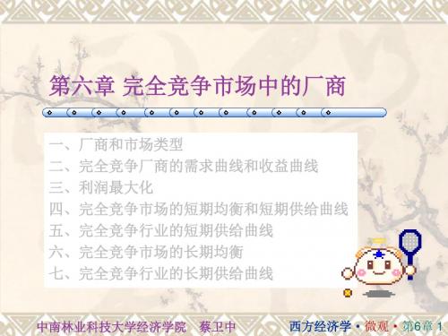 2019年-微观经济学06章-PPT精选文档