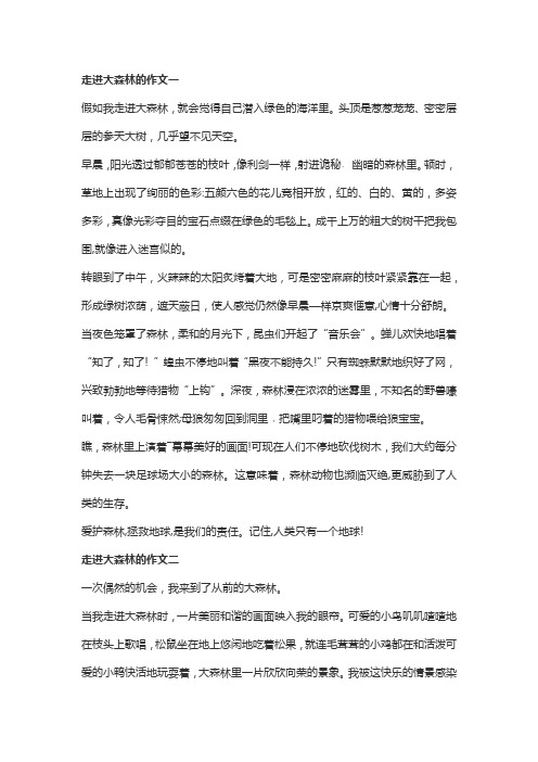 走进大森林三年级作文