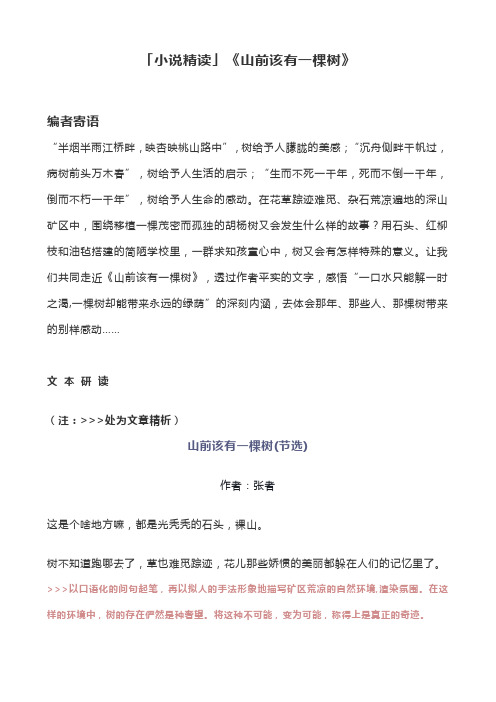 「小说精读」《山前该有一棵树》