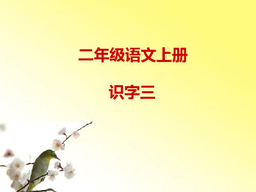 《识字3》PPT课件
